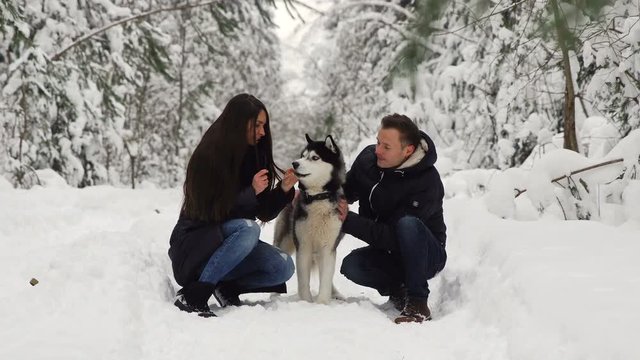 Family couple man and woman sitting in the woods hugging their favorite Siberian hussy dog. Happy people and happy animals.