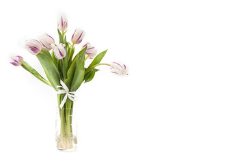 spring flowers on a white background in the studio. tulips