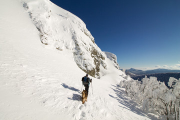 hiker with his dog walking in fresh snow on the top of the mountain