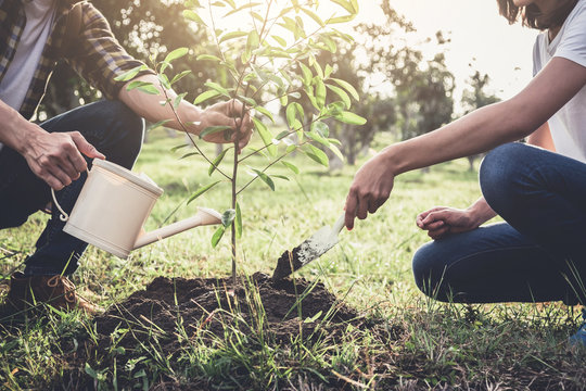 Young couple planting the tree while Watering a tree working in the garden as save world concept, nature, environment and ecology