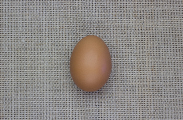 One chicken egg on burlap