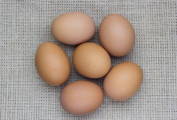 Chicken eggs on burlap
