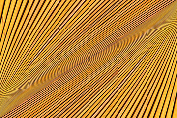 Abstract photo montage of yellow orange timber. Converging lines of planks.