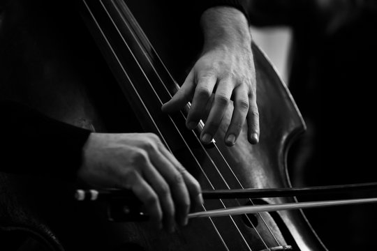 Hands of a musician playing on a double bass closeup in black and white tones