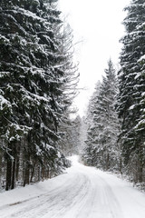 Winter road at snow-covered forest