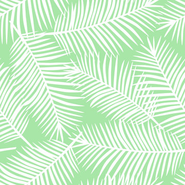 white palm leaves on a light green background exotic seamless pattern vector