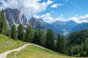 Fototapeta na wymiar Catinaccio mountain massif as seen from the road to Passo Costalungo, Dolomites, Vigo di Fassa, Val di Fassa, Trentino, Alto Adige, South Tyrol, Italy