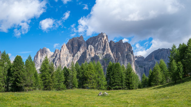 Catinaccio mountain massif as seen from the road to Passo Costalungo, Dolomites, Vigo di Fassa, Val di Fassa, Trentino, Alto Adige, South Tyrol, Italy