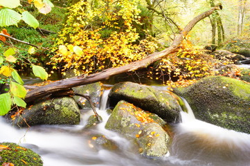 Rivière Bretagne