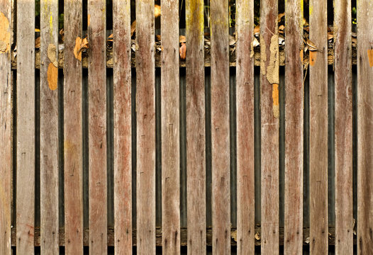 Old wooden fence, a close up photo image of old wooden fence that consist of a lot of long wood plate, surface of wooden fence has a damage scar from termite, staple and humidity