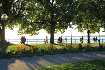 Naklejka premium Sunset view on a lake from a meadow covered with flowers and trees.