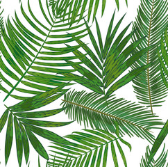Obraz premium Vector Seamless pattern of tropical palm leaves. background of green areca, sago, howea foliage