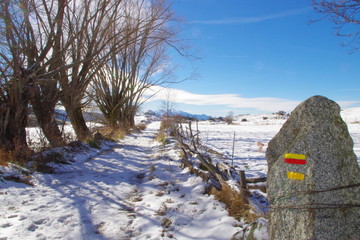 Balisage de randonnée rouge et jaune le long d'un chemin sur rocher type menhir