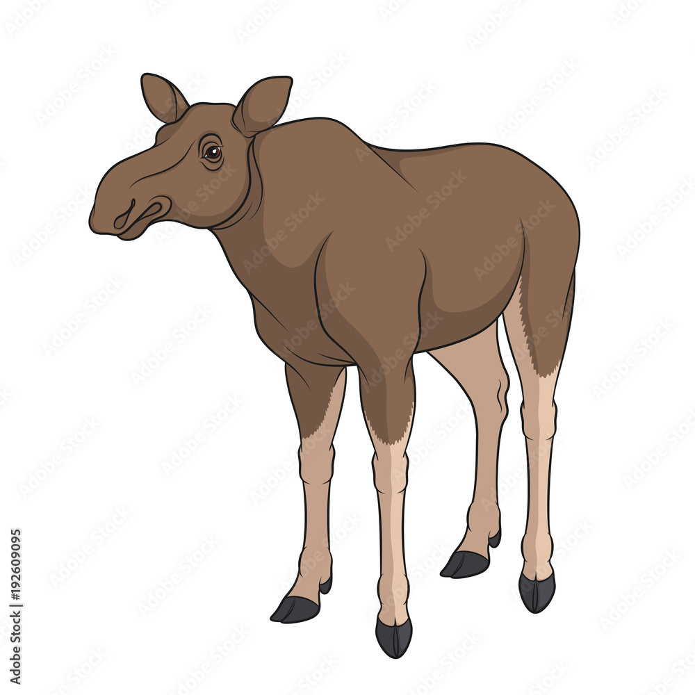 Poster color image of elk, moose. isolated vector object on white background.