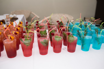 Drinks, colorful cocktails on the party. Set of alcohol cocktails with fruits. Beverages