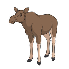 Color image of elk, moose. Isolated vector object on white background.