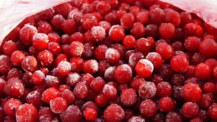 .frozen lingonberry, fresh from the refrigerator