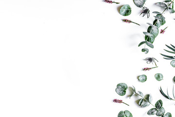 Floral pattern with green leaves on white background top view mo