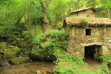 Old stone mill on a river in a green and lush forest.