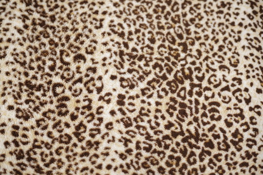 fabric with leopard print