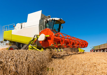 Combine harvester at the wheat harvest - 300030168 © Wolfgang Jargstorff