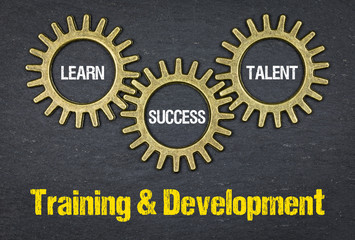 Training & Development