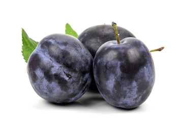 plums on white background