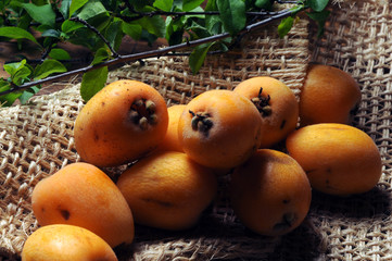 Eriobotrya japonica Loquat N&iacute;speros Nespole მუშმულა სუბტროპიკული  N&eacute;flier