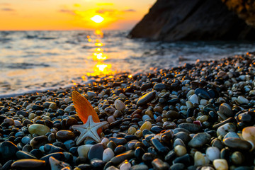 Sea shells at sunset