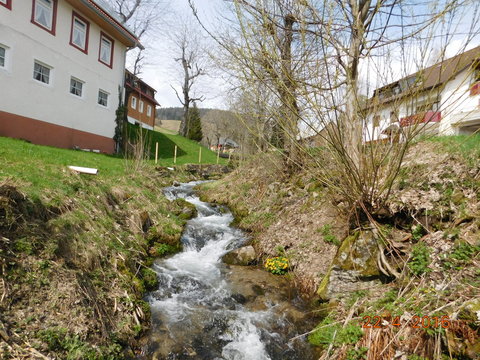 Schwarzwaldimpression