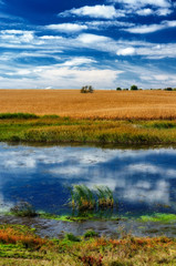 Obraz premium autumn day. the picturesque sky above the river