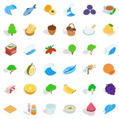 Raw icons set, isometric style