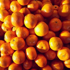 Clementines in the sunshine