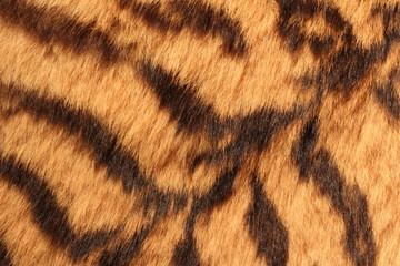 Fur of the tiger © Галина Жилкина