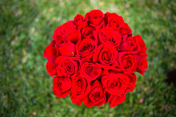 Romantic roses over grass