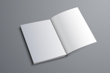 mockup of the A5 or A4 catalog is open on the last page.