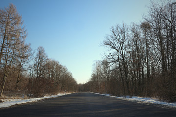 Obraz premium Empty road in winter with snow