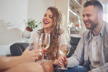Friends cheering with wine at house party.