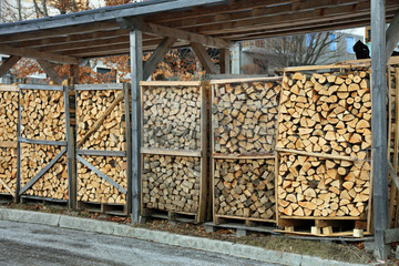 big woodshed with cutted wooden logs