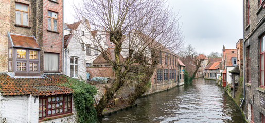 Fototapeta premium Scenery of water canal in Bruges in winter, cityscape of Flanders, Belgium.