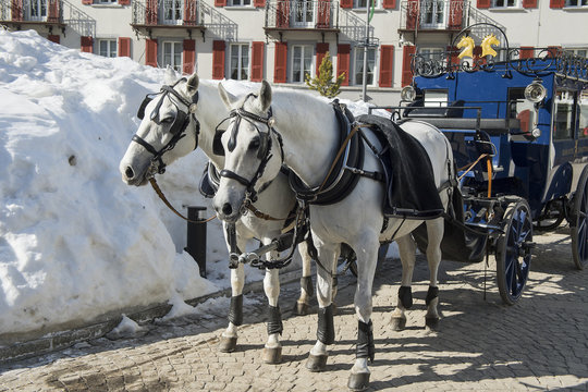 Pferdegespann mit Kutsche, Zermatt, Wallis, Schweiz