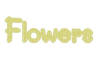 Message from flowers on white background. Flowers.