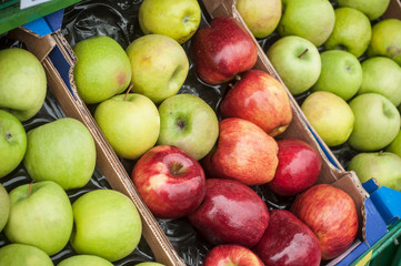 pommes rouges et vertes au marché