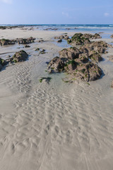 Low tide water on the beach of Brittany, the sand and stones covered with seaweed, France