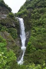 Fototapeta premium waterfall