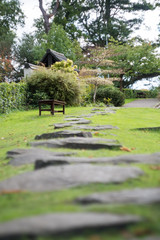Stone path in the garden, selective focus on background