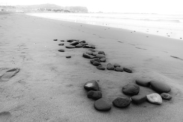 Siguiendo la huella del Camino