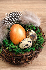 Quail easter eggs in a nest on wooden table