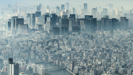 Tokyo enveloppé de brume