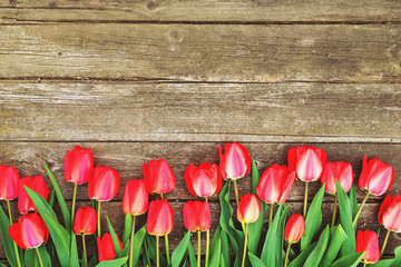 Row of bright rich red tulip flowers on stem. Wooden background with scopy text space. Welcome spring and summer. Mother's Day background, international woman's day greeting. Top view, flat lay.